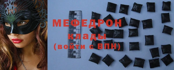 шишки Медвежьегорск