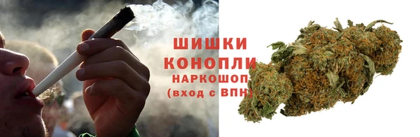 сатива Михайловка