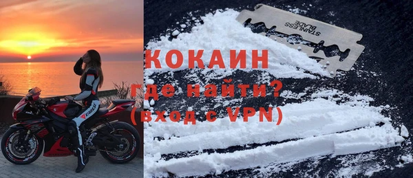 шишки Медвежьегорск