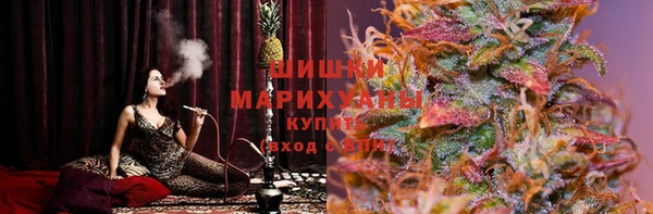 сатива Михайловка
